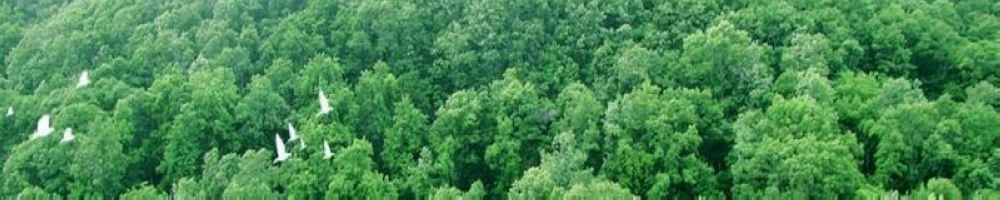 1591323105927205.jpg 2020060404.jpg